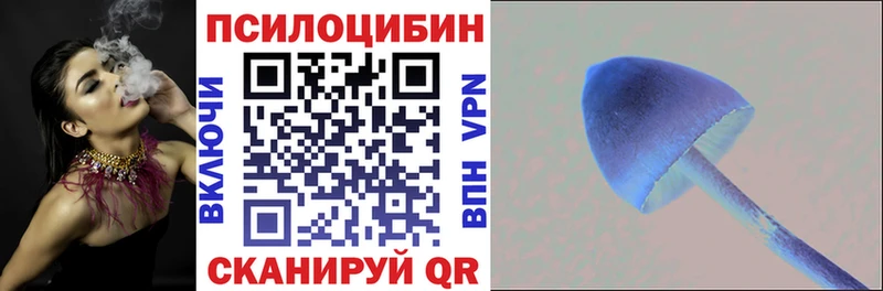 где продают наркотики  Черняховск  hydra рабочий сайт  Псилоцибиновые грибы мицелий 
